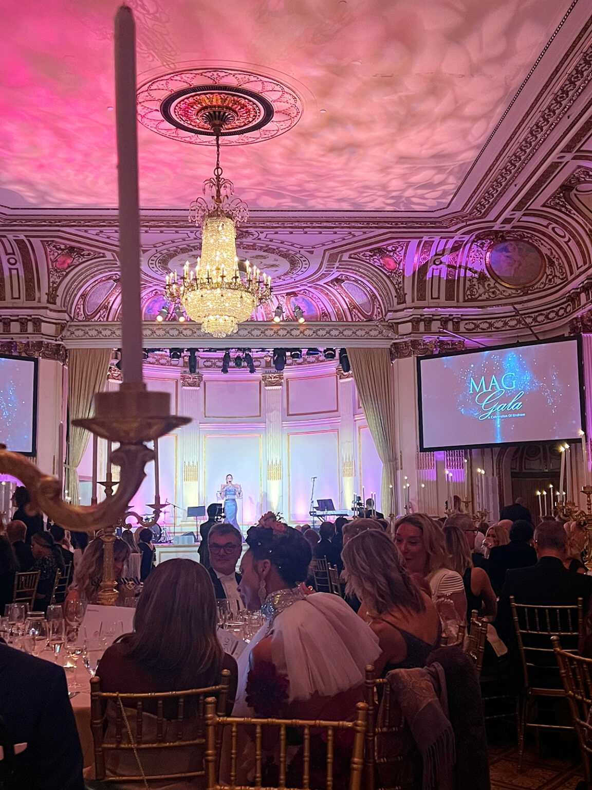 CELEBRATING A DECADE OF KINDNESS: THE 10TH ANNIVERSARY MAG GALA PRESENTED BY LUISA DIAZ FOUNDATION